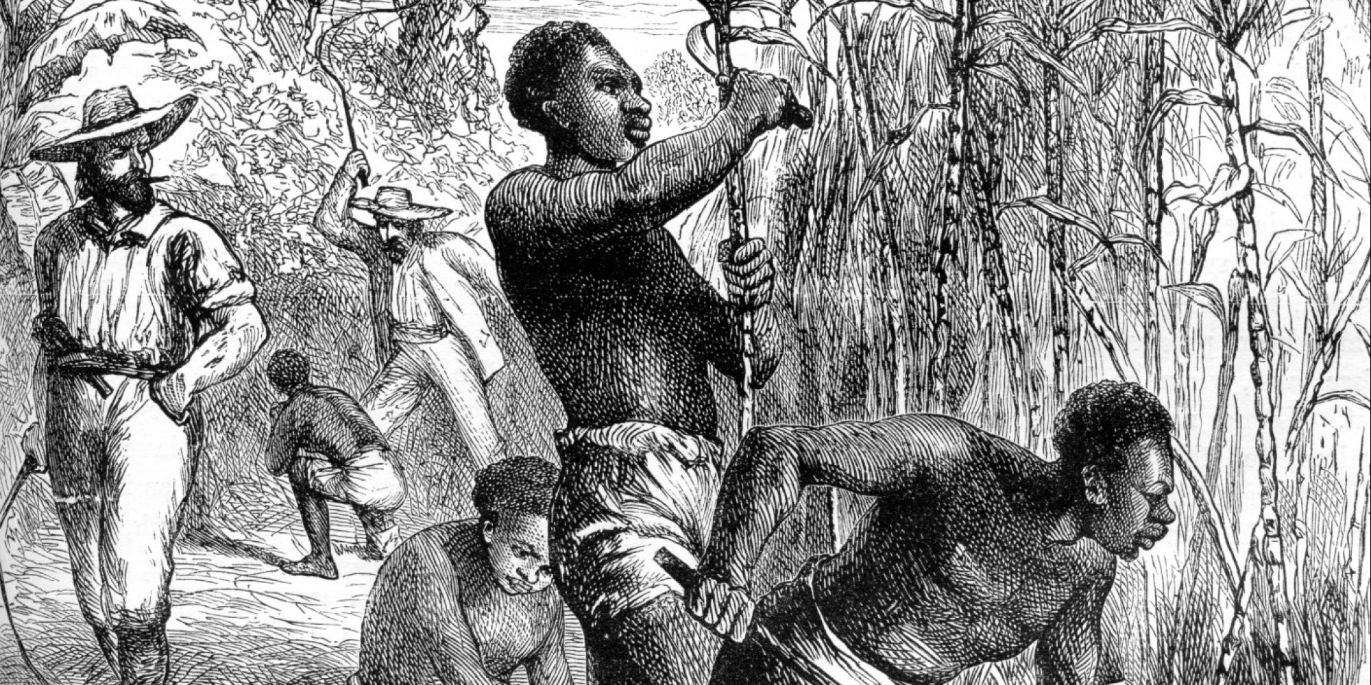 Рабство негров в Америке в 19 веке