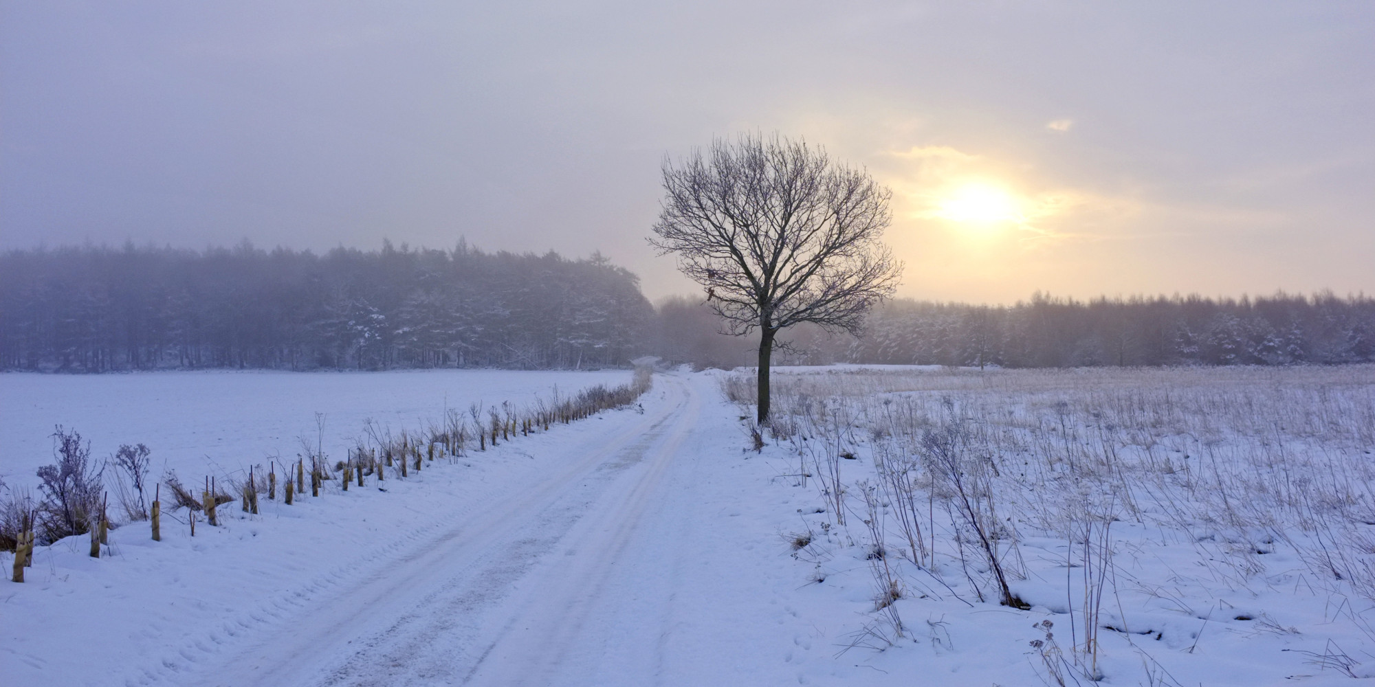 White Christmas Could Still Happen, Despite 'Warmest Year On Record ...