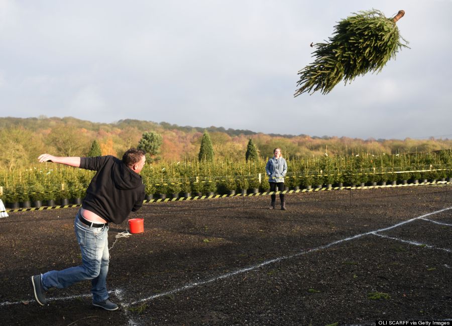 christmas tree throwing