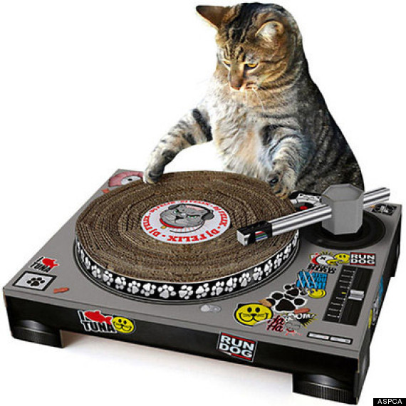 dj cat