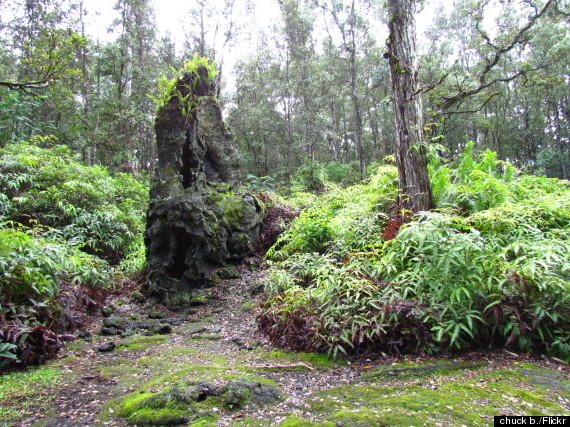 lava tree state park