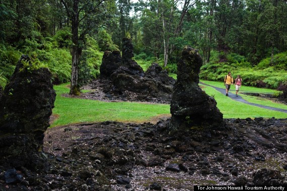 lava tree forest