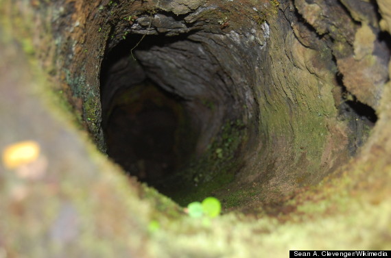 inside lava tree