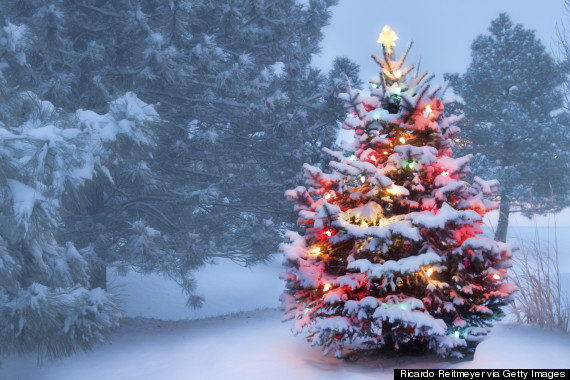 outdoor christmas lights