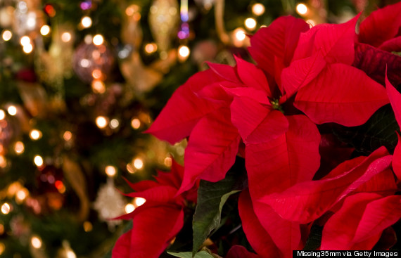 9 Things You Never Knew About Your Favorite Christmas Decorations ...