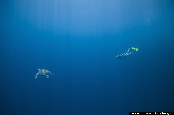 free diving ocean