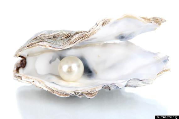 oyster pearl