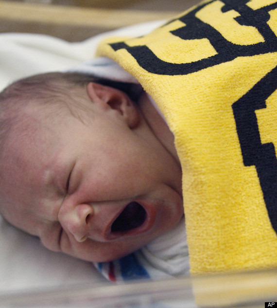 Pittsburgh Steelers Infant The Terrible Toddler Towel Bib