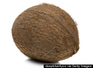 coconut