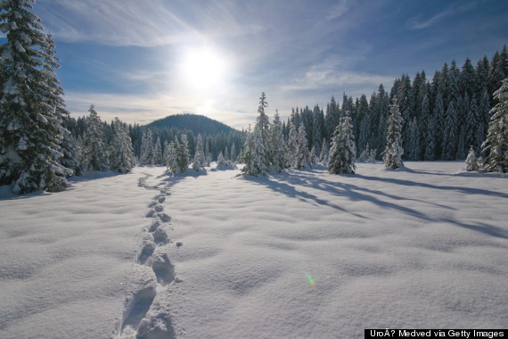 footsteps in snow