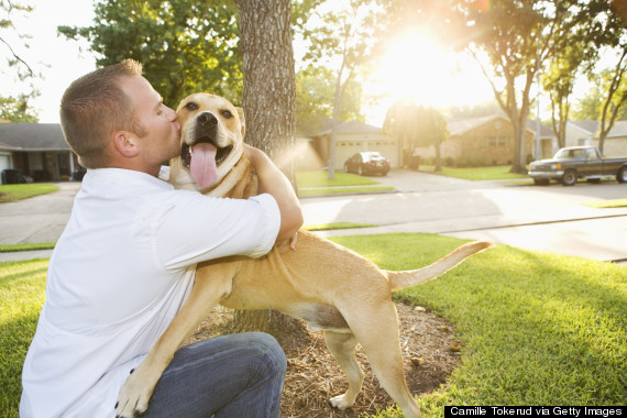 hugging dog