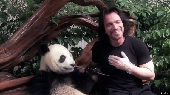 yanni and his panda santorini