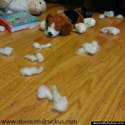 poor stuffed dog