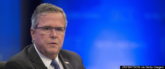 jeb bush