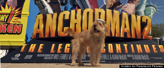 anchorman baxter