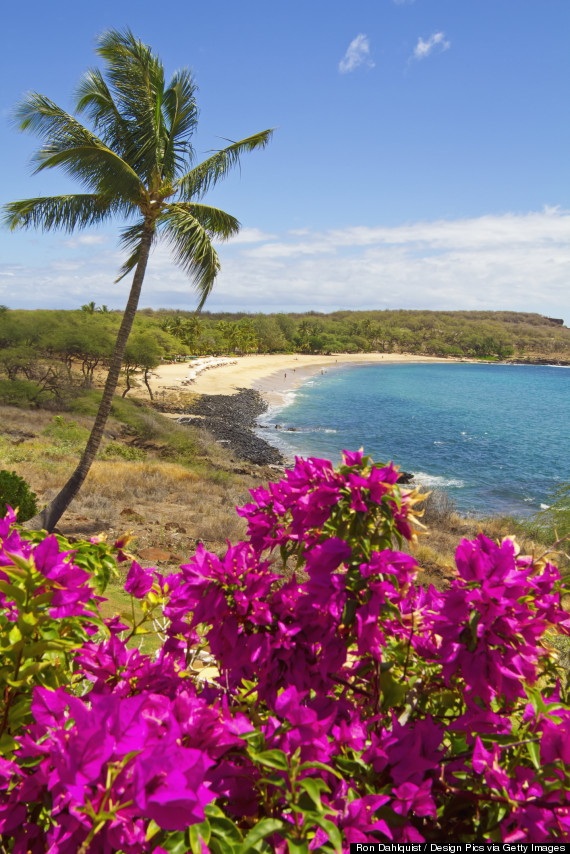 lanai island