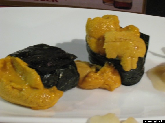 sea urchin uni