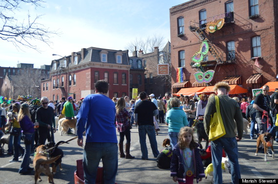 dog parade