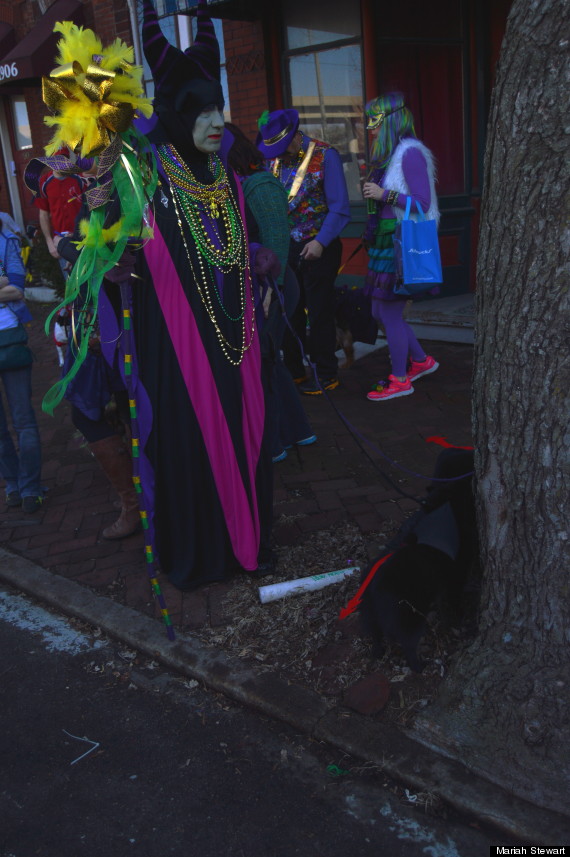 dog costume