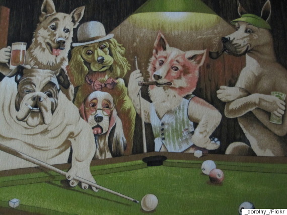dogs playing pool