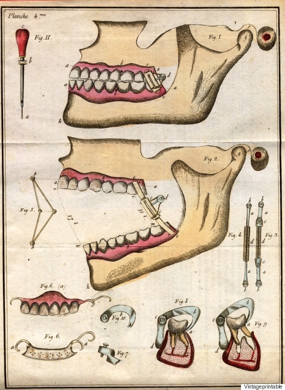 teeth