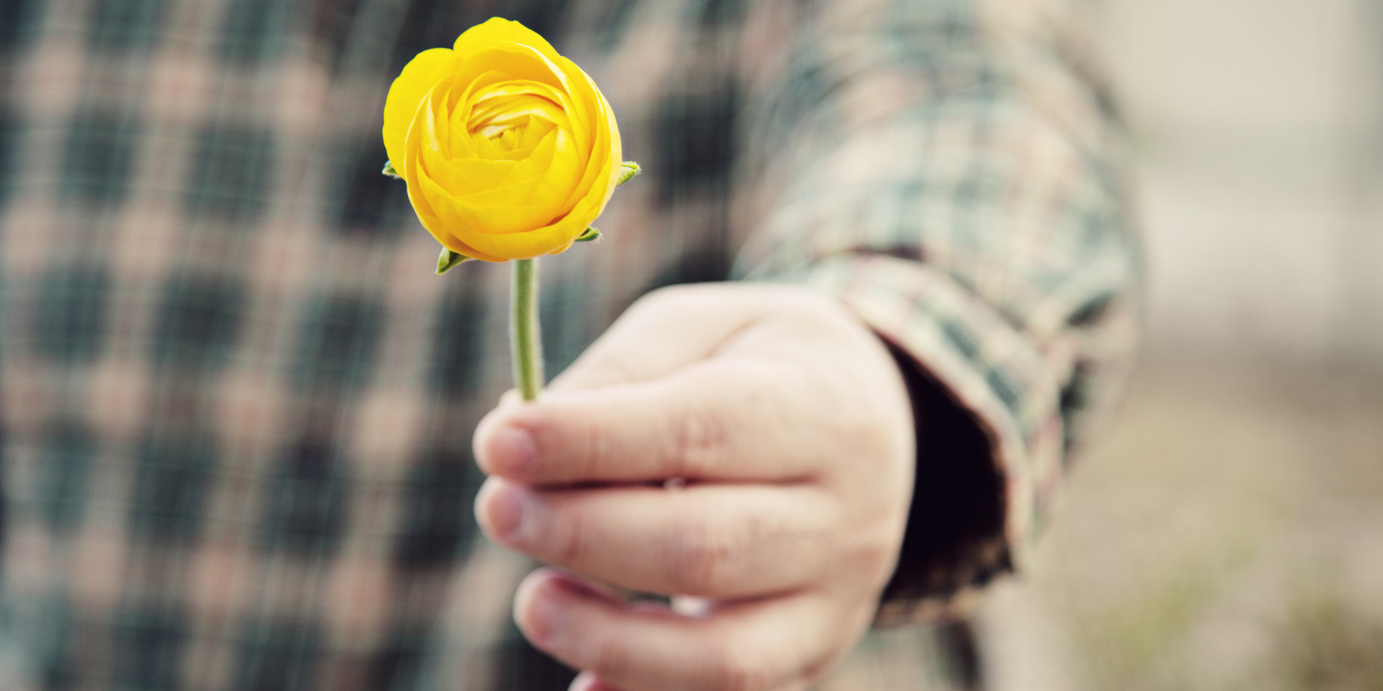 Give this flower. Give Somebody Flowers.