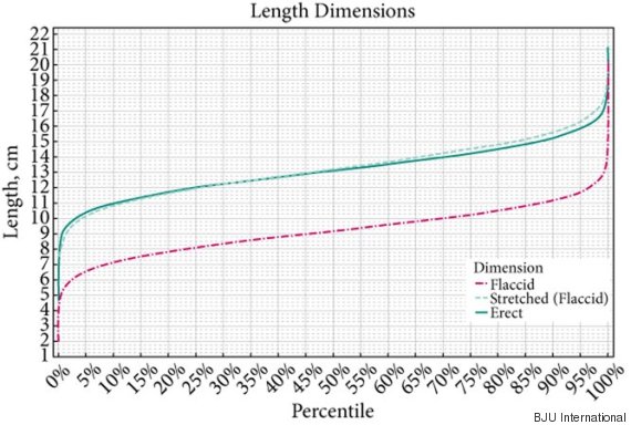 Average Penis Size Study Shows Normal Isnt Necessarily -4683