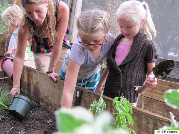 muse school garden