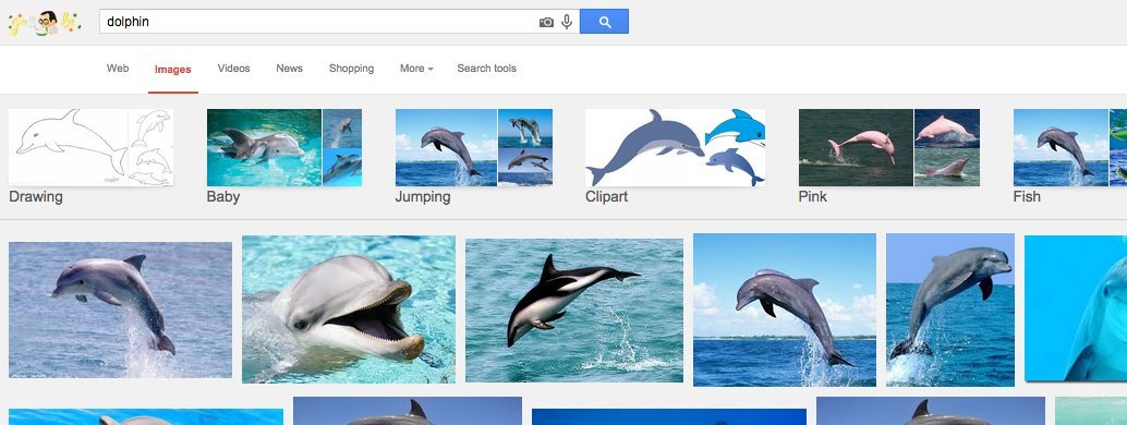 dolphin