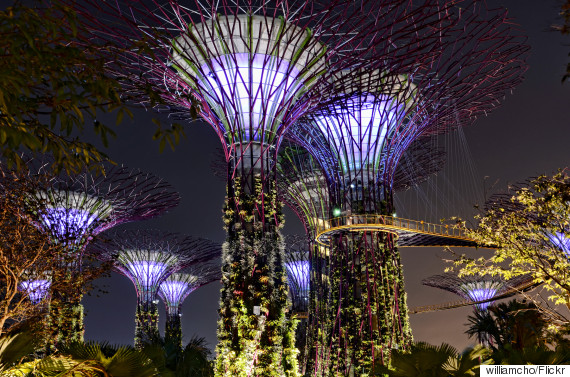singapore supertrees