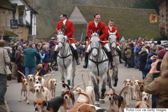 David Cameron Will Offer Vote To Repeal The Fox Hunting Ban If Tories ...