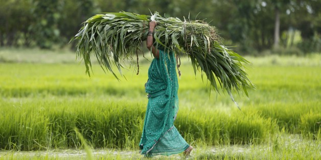 About Half The World's Farmers Are Women, But Many Don't Have Land ...