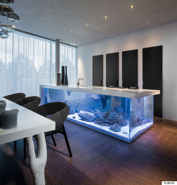 kitchen aquarium island