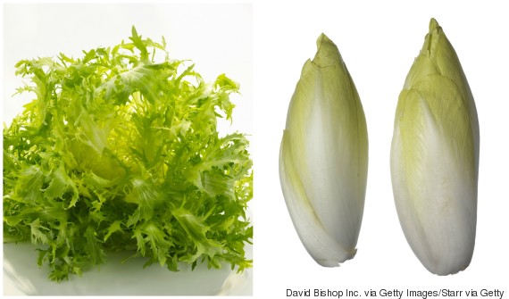 curly endive versus belgian endive