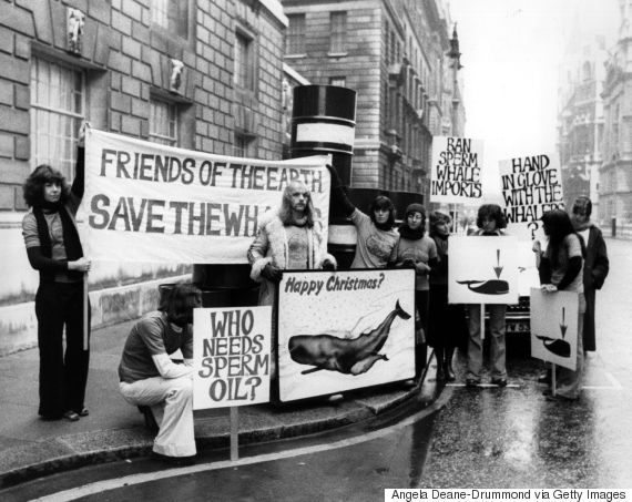 save the whales green