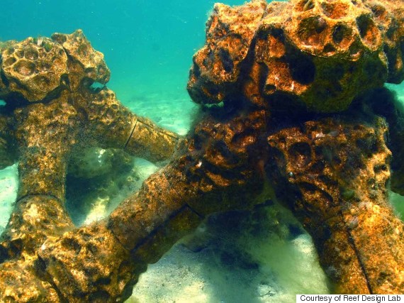 artificial reef