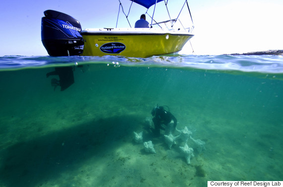 artificial reef