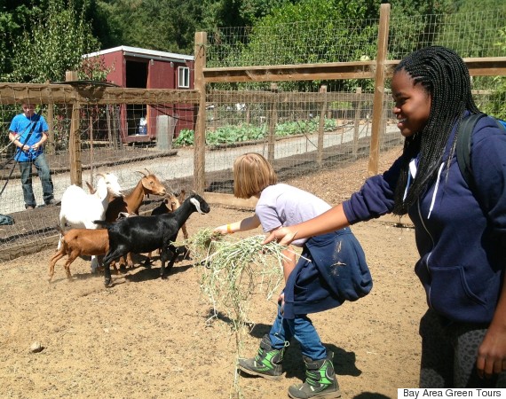 green tours farm