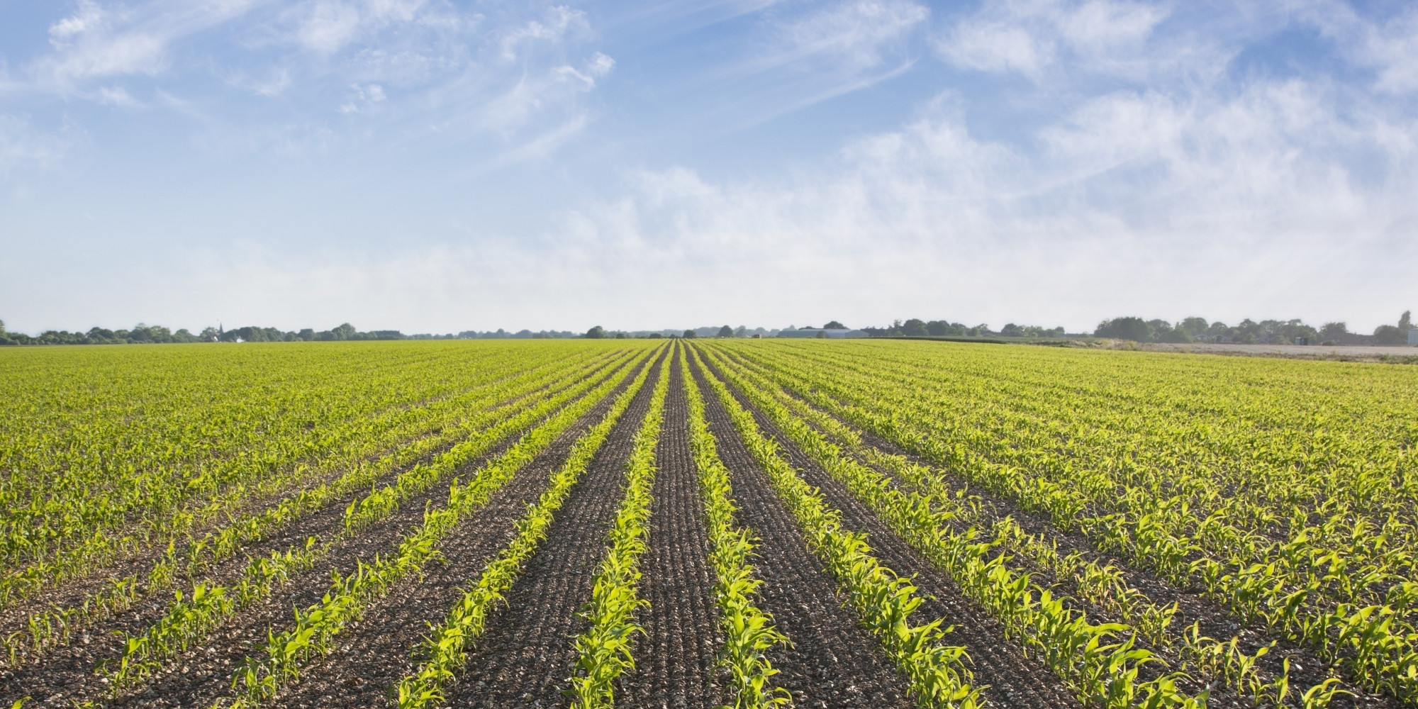 Farm Groups Fight For Drone Freedom | HuffPost