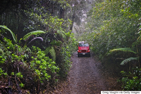 munro trail lanai