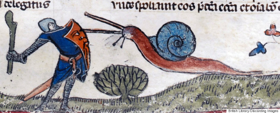 snail fights a knight 3