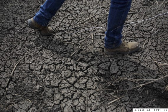 dry farming