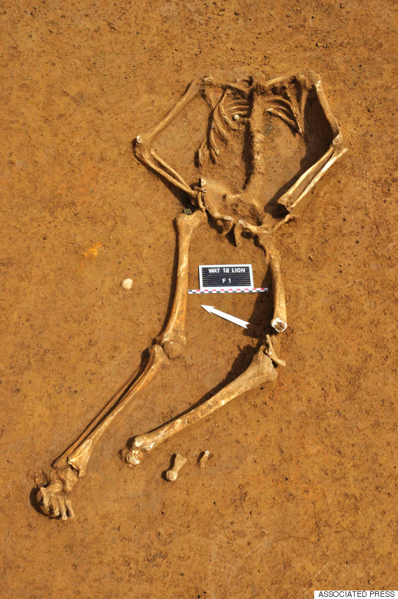 waterloo skeleton