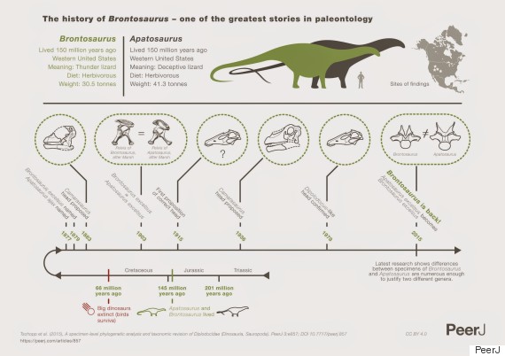 brontosaurus