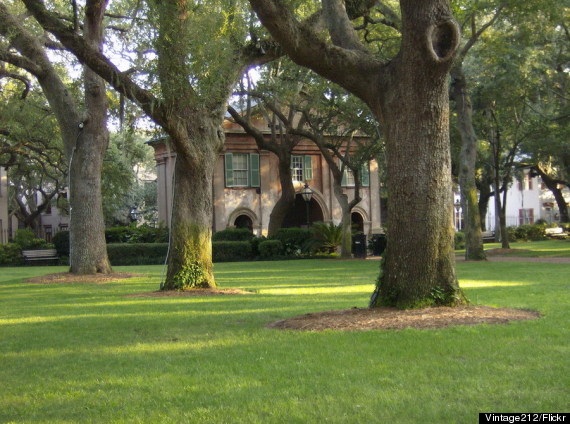 college of charleston