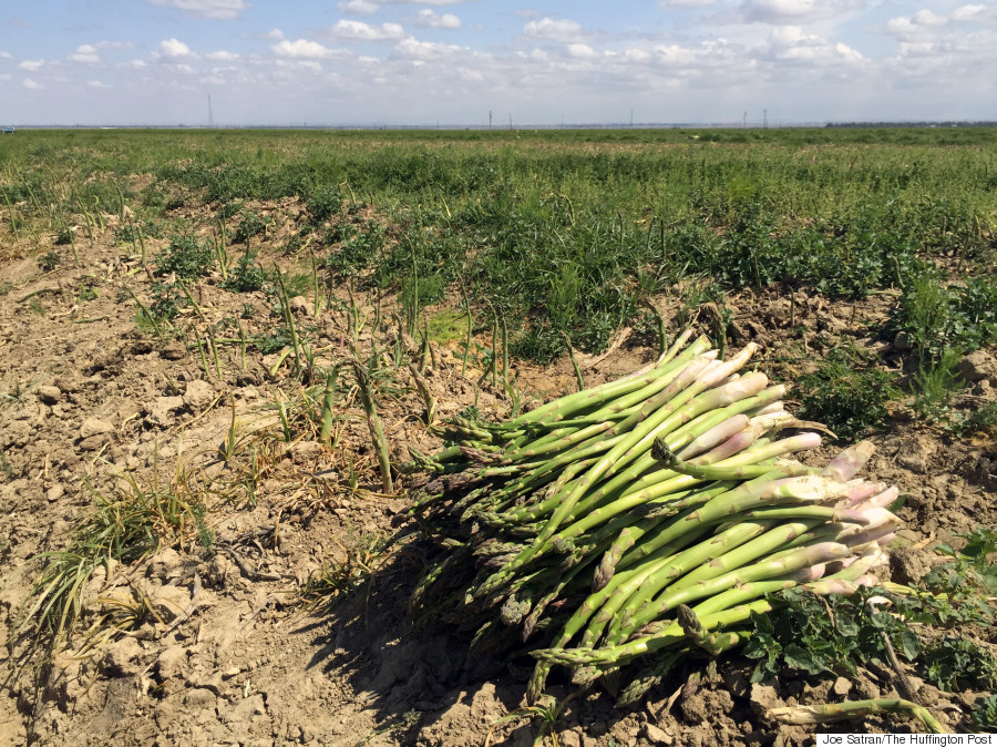 pile of asparagus