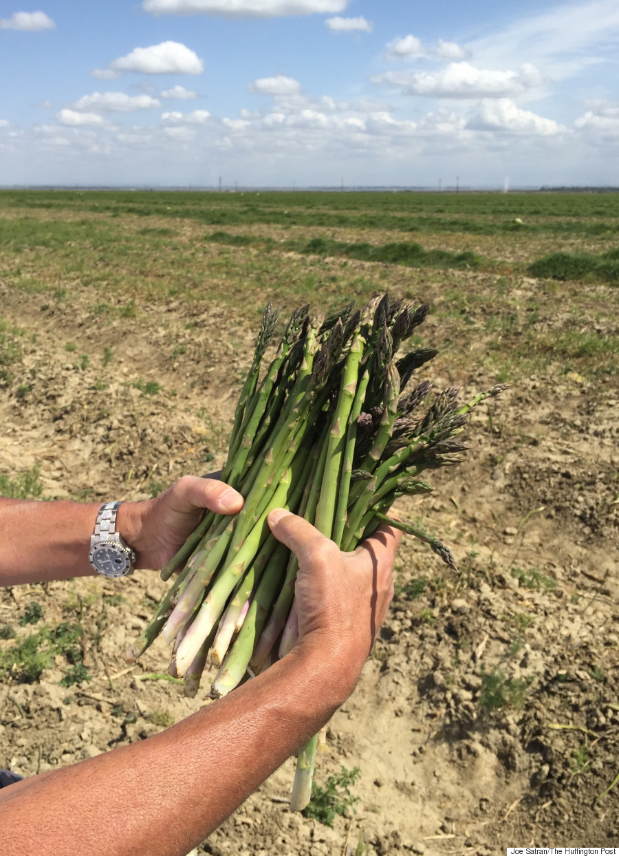 handful of asparagus