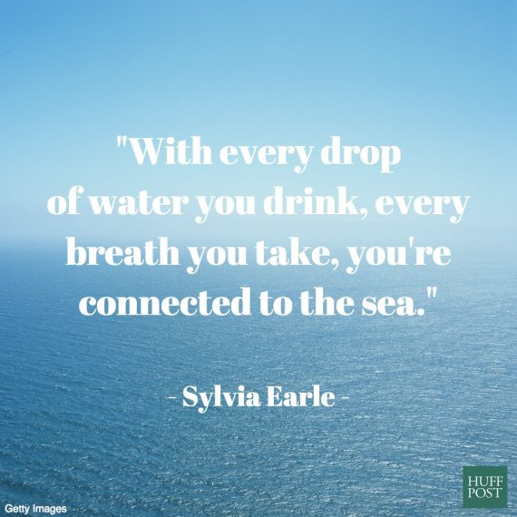 11 Quotes About The Ocean That Remind Us To Protect It Huffpost