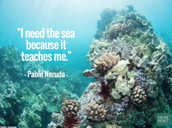 11 Quotes About The Ocean That Remind Us To Protect It Huffpost