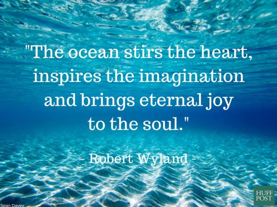 11 Quotes About The Ocean That Remind Us To Protect It Huffpost